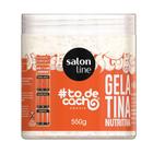 Gelatina Salon Line Todecacho Nutritiva 550g