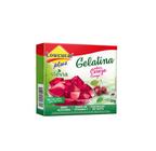 Gelatina Stevia Lowçucar Plus Cereja 10g