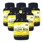 Geleia Real Liofilizada Própolis E Vitaminas 6 Potes 360caps