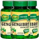 Gengibre com Chá Verde 120 comprimidos de 400mg Kit com 3