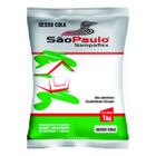 Gesso Cola para Acabamento e Reparo 1Kg Sampaflex