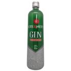 Gin Eternity Diversos Sabores - 900Ml