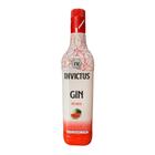 Gin Invictus Diversos Sabores - 900Ml