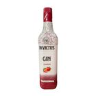 Gin Invictus Diversos Sabores - 900Ml