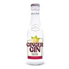 Gin Tonic Easy Booze Gengibre 200ml