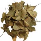 Ginkgo Biloba Em Folhas 100gr (erva Seca Para Chá)