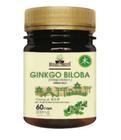 Ginkgo biloba - folhas e raízes