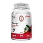 Ginko biloba 500mg com 60 cápsulas - GENESIS FARMACEUTICA