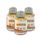 Ginseng - 60 Caps 500Mg Kit Com - 3 Potes