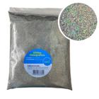 Glitter Holografico Luli pacote com 500g