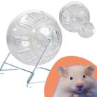 Globo de Exercícios Em Acrílico Para Hamster Com Suporte De Arame D12 Jel Plast