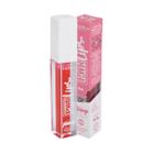 Gloss Efeito Plump Power Lips Tint - Vizzela