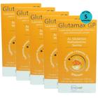 Glutamax GP Suplemento Para Animais 250ml Inovet Kit C/ 5