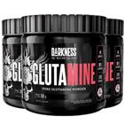 Glutamina Pura 300g Darkness Integralmedica Kit 3 Potes