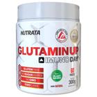 Glutamina Up (300g) - Padrão: Único - Nutrata