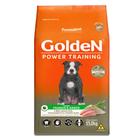 Golden adultos power training 15kg - Premier Pet