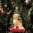 Golden Retriever com enfeite da árvore de Natal para personalização