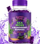 Gomas Sea Moss Beary Fine Vitamina C + Zinco 60 Gomas