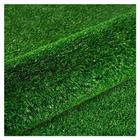 Grama Sintética Decorativa SoftGrass 12mm - 2x5m - Verde