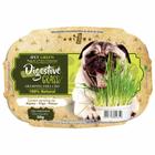 Graminha Ipet Green Digestive Grass para Cães - 50 g