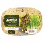 Graminha Ipet Green Digestive Grass para Gatos - 50 g