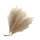 Grande Buquê De Grama Artificial De Pampas, 90/120cm, Flor Falsa Para Casa, Jardim, Decoração De