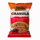 Granola Com Castanha De Caju E Uvas Passas Sem Glúten 800g Vitao