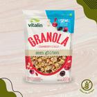 Granola Cranberry e Goji Zero Adição de Açúcares Vitalin 200g