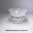 GRAXA DE SILICONE 100/8 - 100g