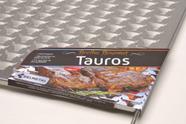 Grelha Gourmet Tauros Inox 50x50cm GCB5050 Selmetal