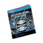 Grêmio 120 Anos - Até A Pé Nós Iremos - Álbum Exclusivo Capa Cartão - Panini