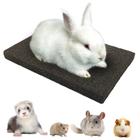 Grinding Claw Pads BNOSDM Rabbit para pequenos animais de estimação