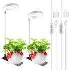 Grow Lights Kullsinss Halo Full Spectrum - Pacote com 2 Unidades para Plantas de Interior