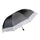 Guarda Chuva Manual Feminino com Estampa - Classe