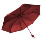 Guarda Chuva Sombrinha Roxo Plus Tianqi N226255-2 - Quanhe