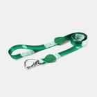 Guia tradicional 1,2m palmeiras - m