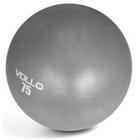 Gym Ball c/Bomba (75cm) - Cor: Cinza