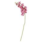 H.orquidea Phalaenopsis Real Toque X9 (beauty Creme) 94cm