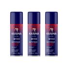 Hair Spray Fixador Karina Normal 250ml - Kit C/ 3un