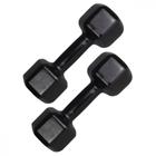 Halter Sextavado Emborrachado 09Kg