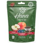 Hana Nuggets Snacks de Maçã, Blueberry e Chia 80gr - HANA NUTRICAO