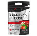 Hard Mass 18000 3kg - Body Action