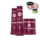 Haskell Quina Rosa Kit Shamp cond masc 500ml Mimo