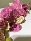 Haste artificial orquídea X8 cabeças - QX Flores