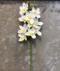 Haste de Orquídea Cymbidium 3D Branco- 67x13x6cm - Miolo Amarelo