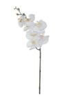 Haste Flor Artificial Orquídea Phalaenopsis Real Toque X7 63cm - FLORESCER DECOR