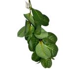 Haste Folhagem Artificial Ficus Concinna 3D Verde 70 cm - Grillo