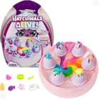 Hatchimals Pack Cm 6 Ovos Surpresa Infantil 004003 - Sunny