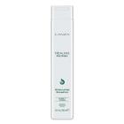 Healing Nourish Shampoo Antiqueda Lanza 300ML