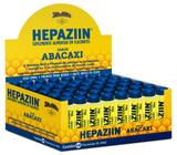 Hepaziin abacaxi zero açucar 48x10ml